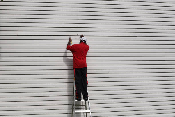 Best Fiber Cement Siding Installation  in Homedale, ID