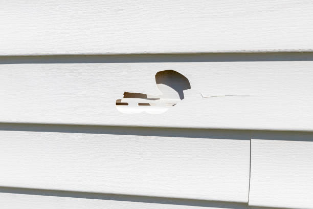 Best Siding Maintenance  in Homedale, ID