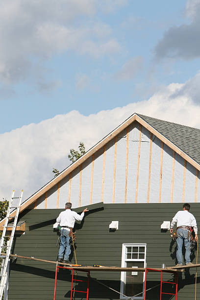 Best Fascia and Soffit Installation  in Homedale, ID